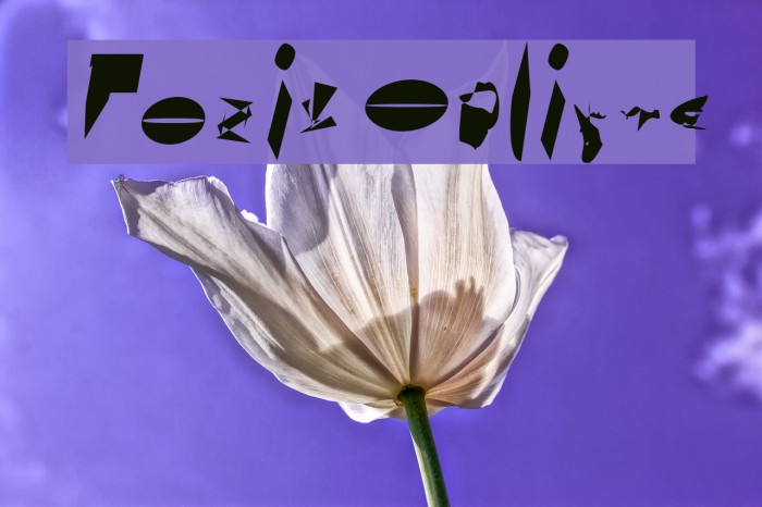 Toxik Oblique Font examples