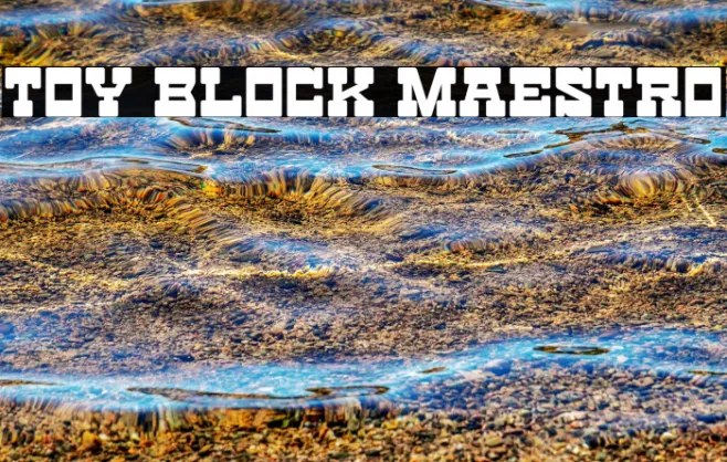 Toy Block Maestro Example 1