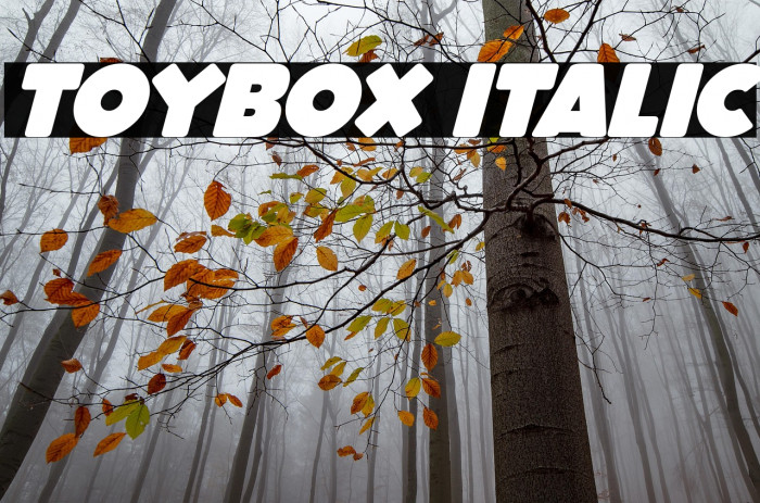 ToyBox Italic Example 1