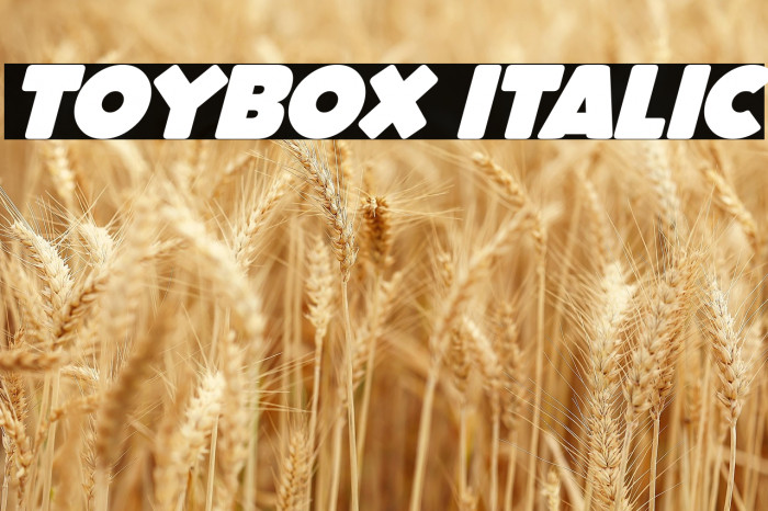 ToyBox Italic Example 2
