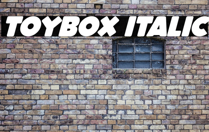 ToyBox Italic Example 3