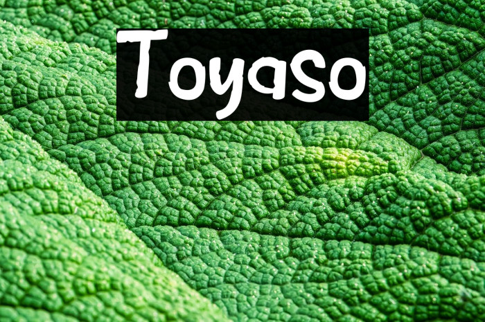 Toyaso Example 1