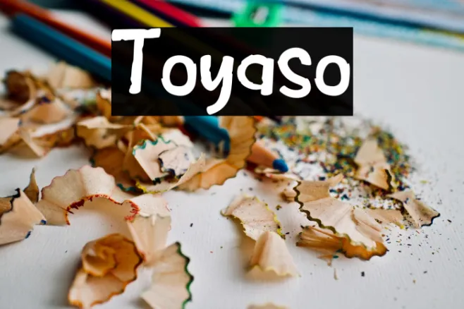 Toyaso Example 2