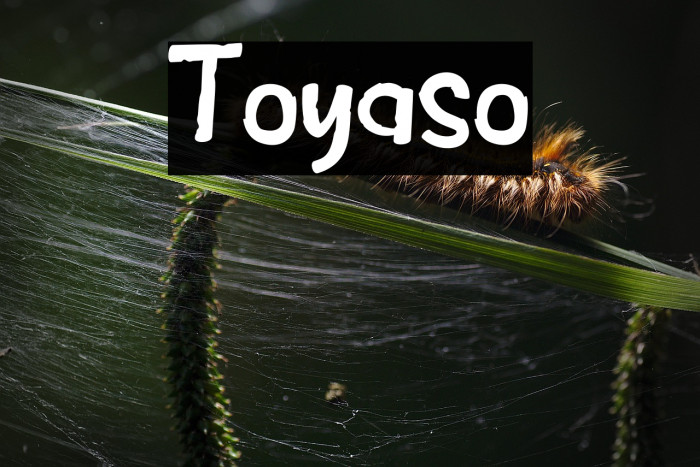Toyaso Example 3