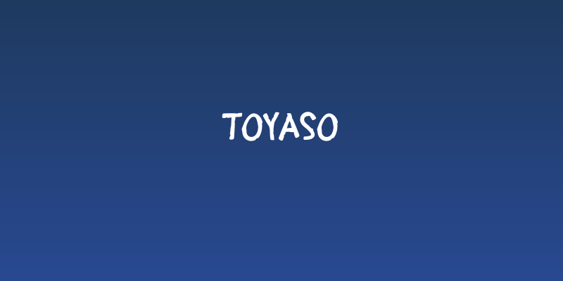 Toyaso Social Header