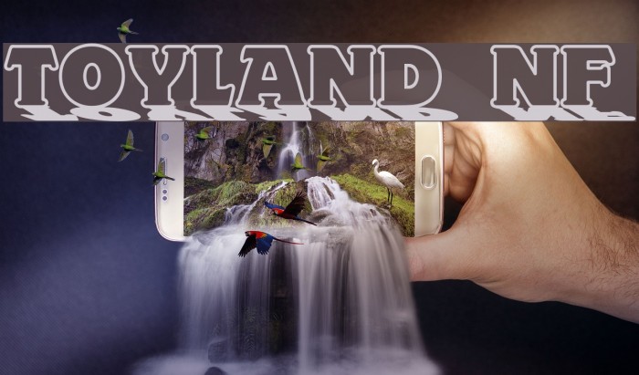 Toyland NF フォント examples