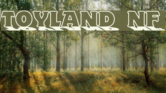 Toyland NF フォント examples