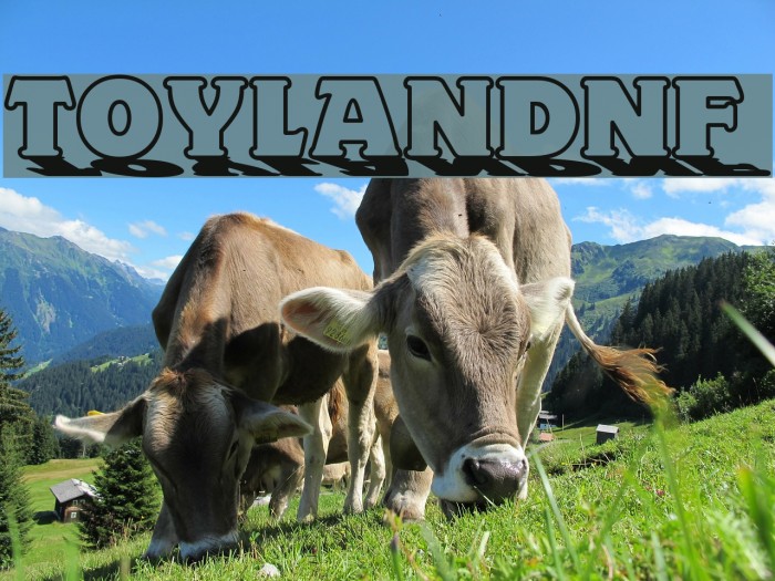 ToylandNF Font examples