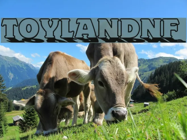 ToylandNF Example 1