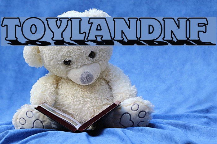ToylandNF Font examples
