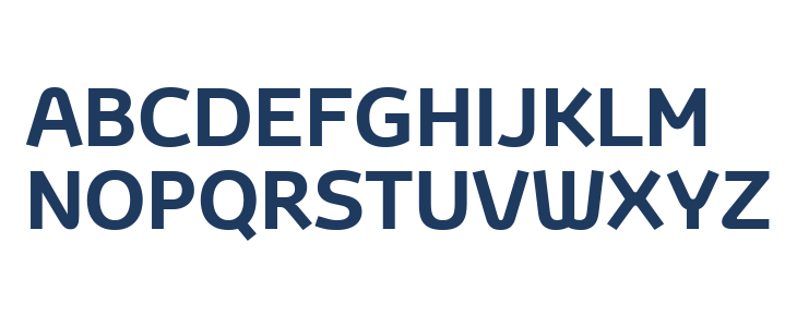 Toyota Display Bold Uppercase