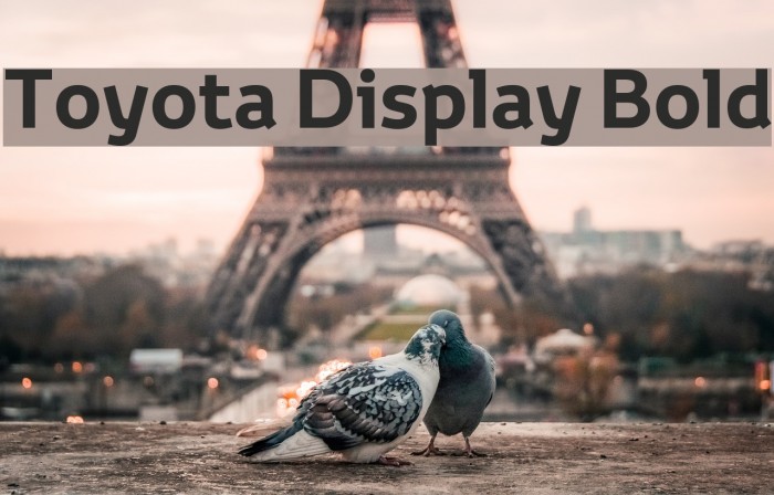 Toyota Display Bold Example 1