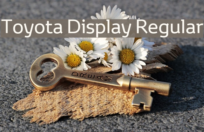 Toyota Display Regular Example 1