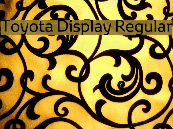 Toyota Display Regular Example 2
