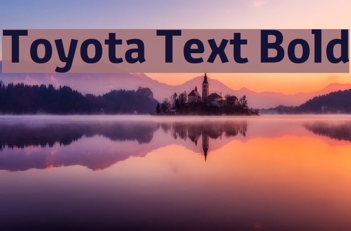 Toyota Text Bold Example 2