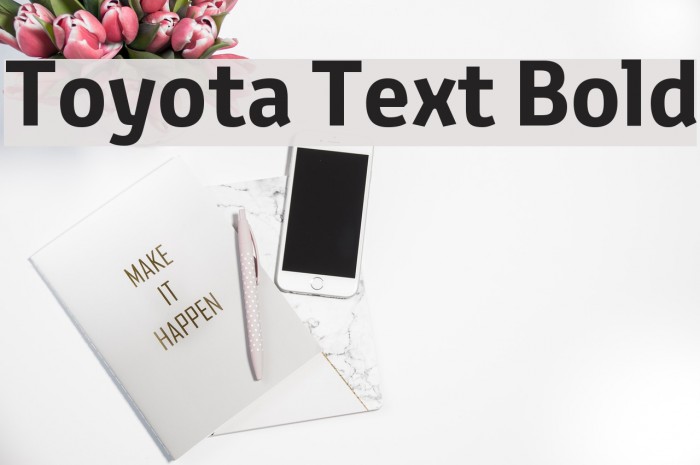 Toyota Text Bold Example 3