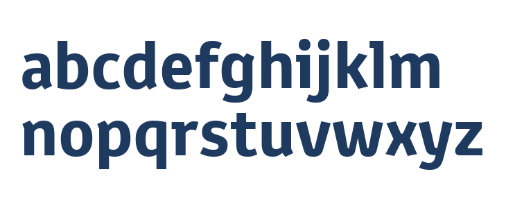 Toyota Text Bold Lowercase