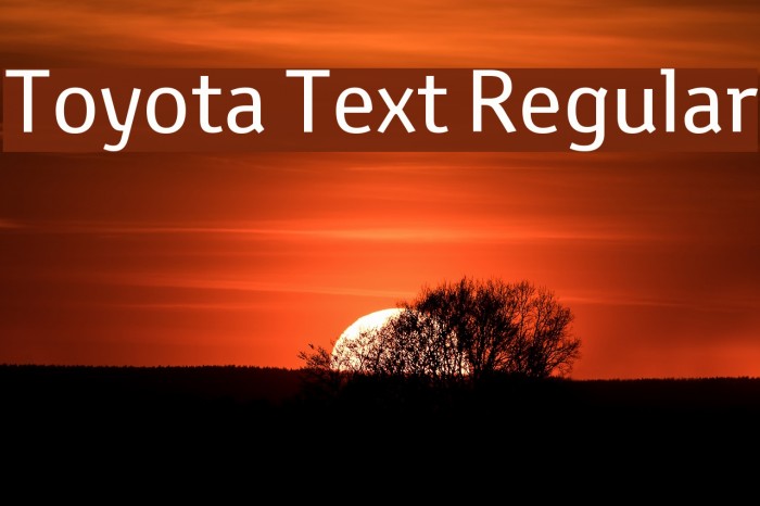 Toyota Text Regular Example 1