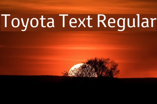 Toyota Text Regular Example 1