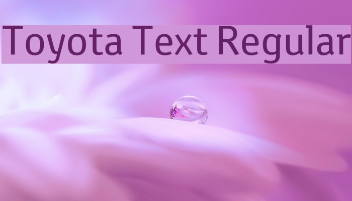Toyota Text Regular Example 2