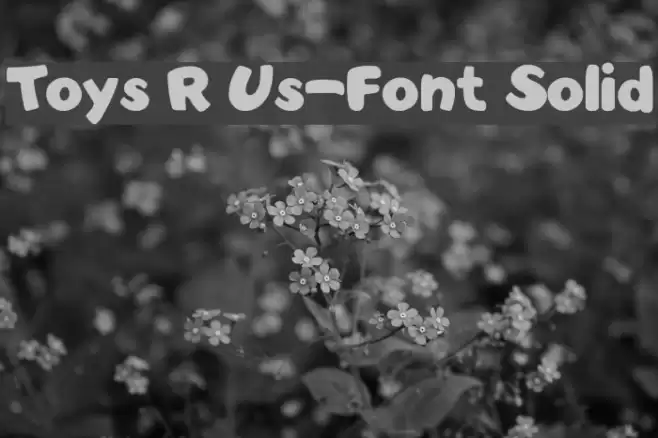Toys R Us-Font Solid Font examples