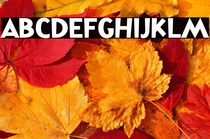 ToysIndonesia-Regular Example 1