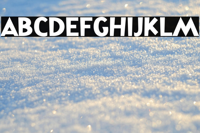 ToysIndonesia-Regular Example 2