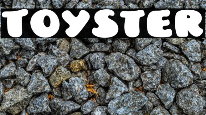 Toyster Example 1