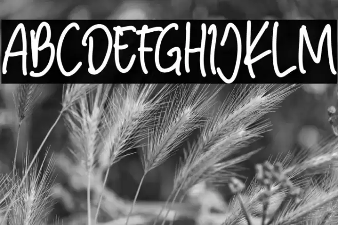 toddler フォント examples