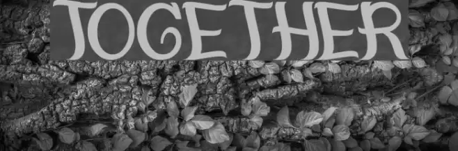 together Font examples