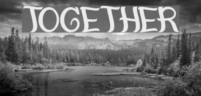 together Font examples
