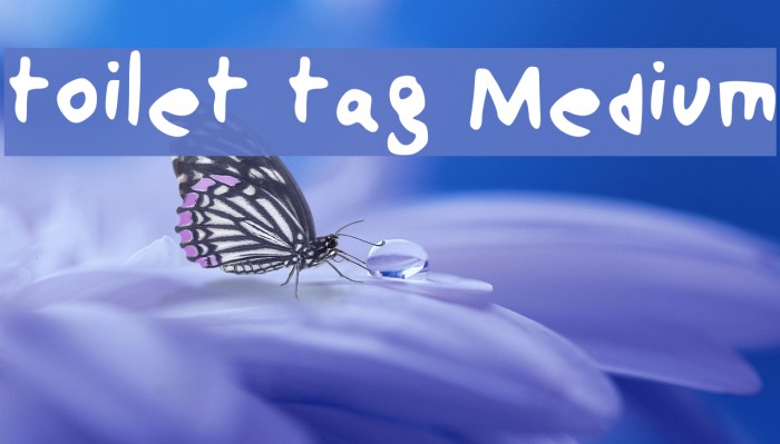 toilet tag Medium Example 3