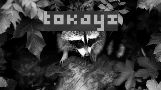 tokayz Fuentes examples