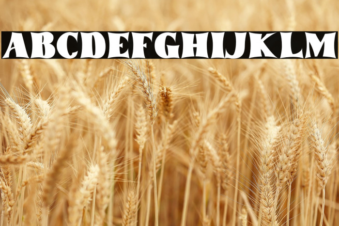 tommyfontbold-Regular Example 1