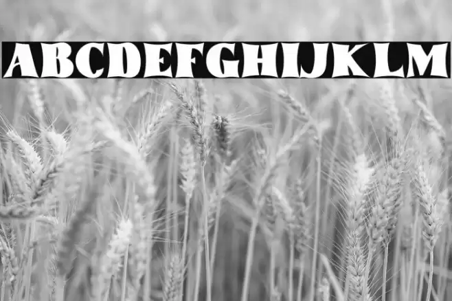 tommyfontbold-Regular Font examples