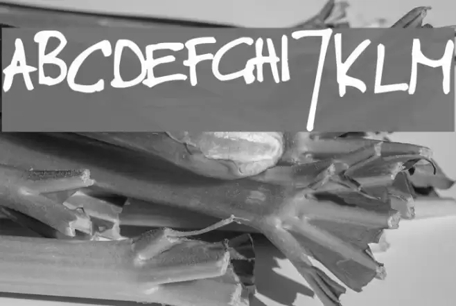 toms handwritten new Font examples