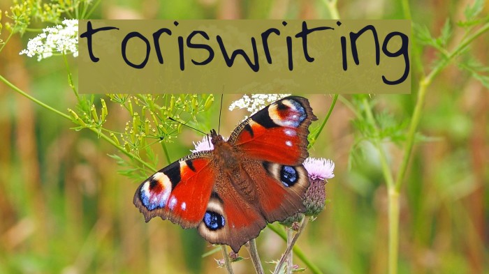 toriswriting Example 3