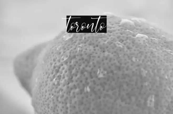 toronto Font examples