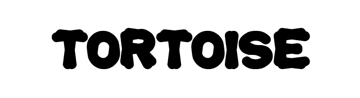 tortoise Font