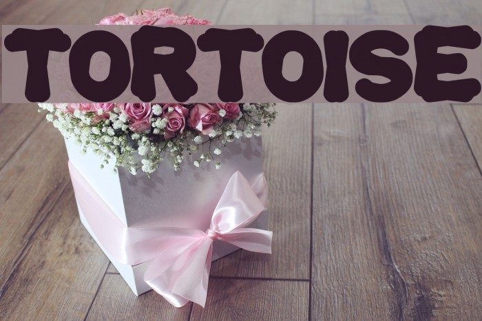 tortoise Font examples