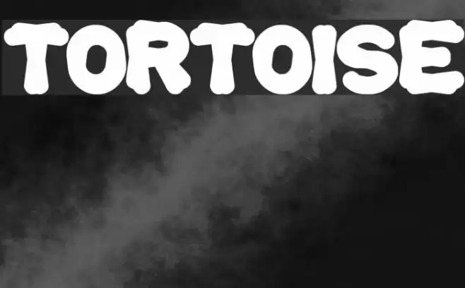 tortoise Font examples