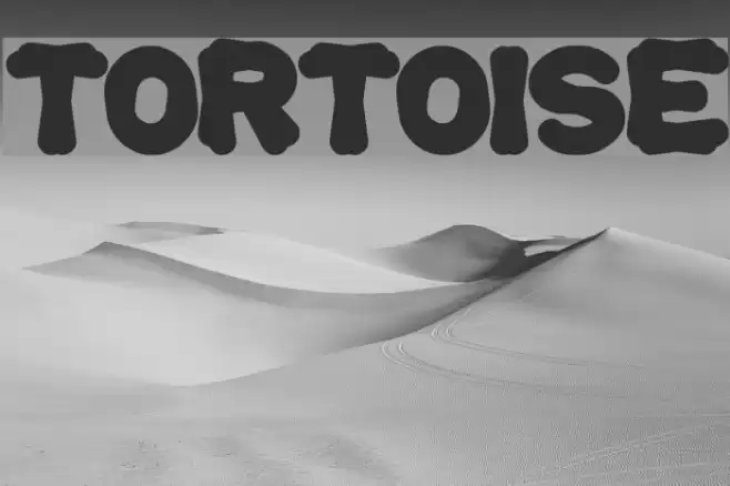 tortoise Font examples