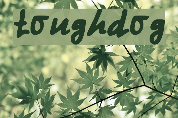 tough_dog Font examples