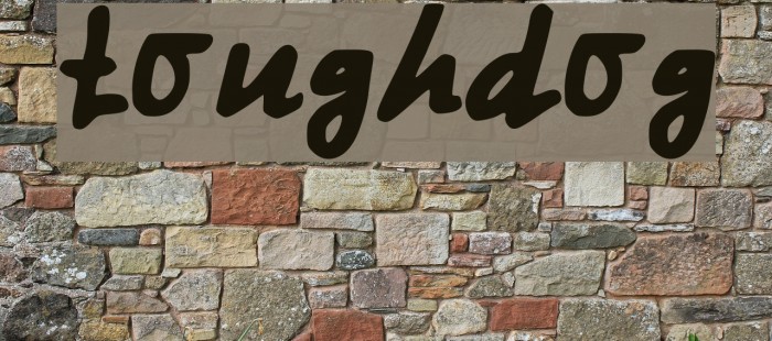 tough_dog Font examples