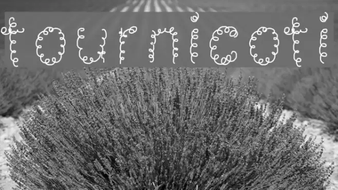 tournicoti Font examples