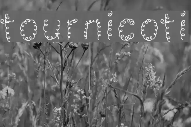 tournicoti Font examples