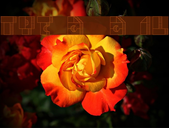 TPF Box of Bricks 1L Example 1