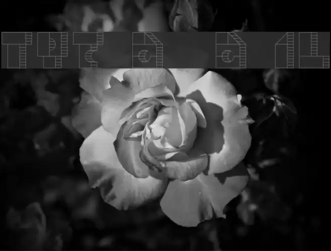 TPF Box of Bricks 1L Font examples