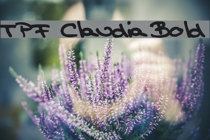 TPF Claudia Bold Font examples