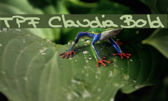 TPF Claudia Bold Font examples